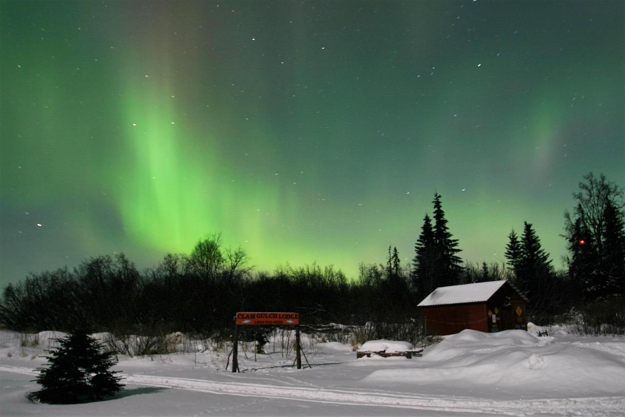 Clam Gulch Lodge Exteriér fotografie
