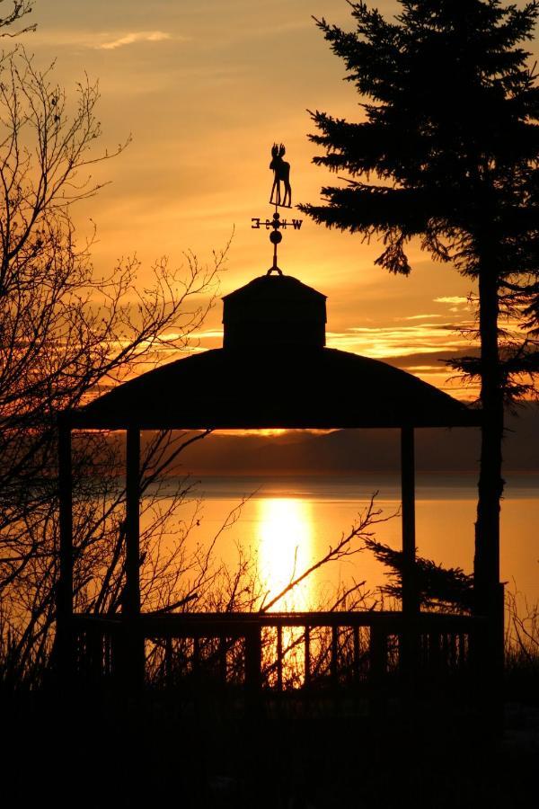 Clam Gulch Lodge Exteriér fotografie