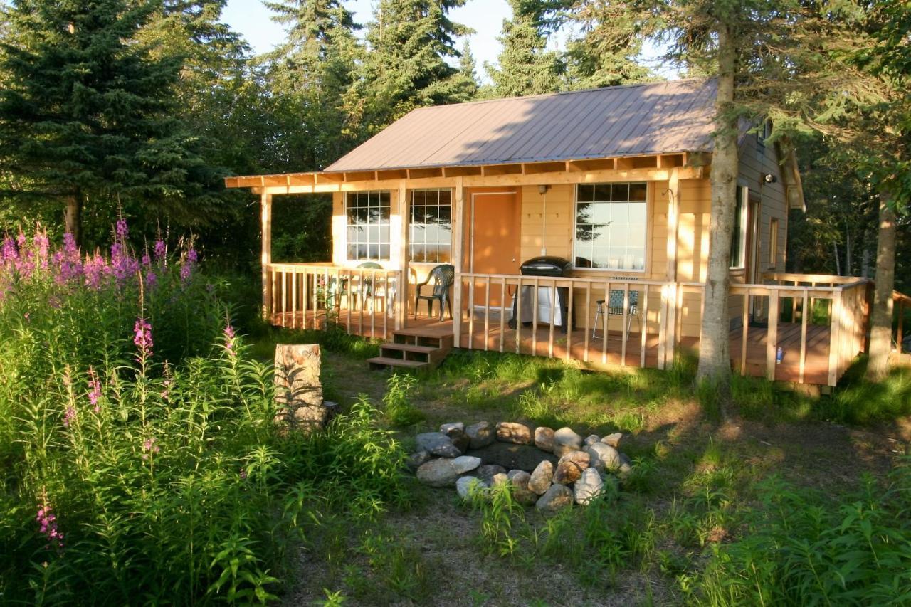Clam Gulch Lodge Exteriér fotografie